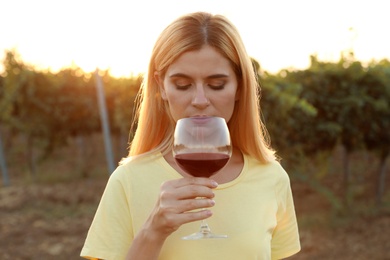 Photo of Young beautiful woman enjoying wine at vineyard on sunny day