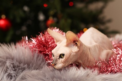 Adorable Sphynx cat with colorful tinsel on fluffy blanket indoors, space for text