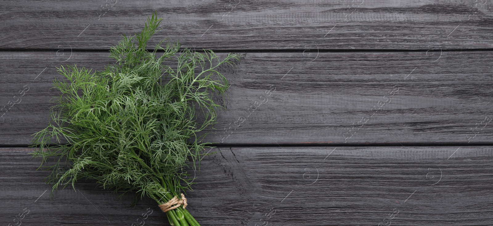 Image of Fresh dill on grey wooden table, top view. Banner design with space for text