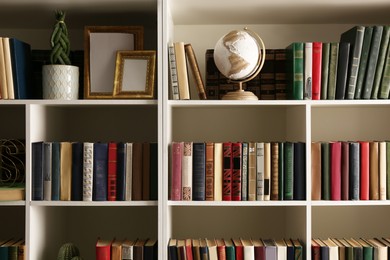 Collection of books and decor elements on shelves. Home library