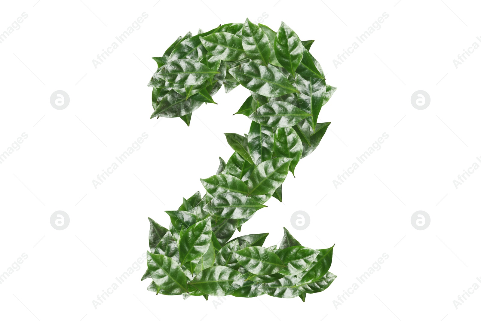 Image of Number 2 made of fresh green leaves on white background