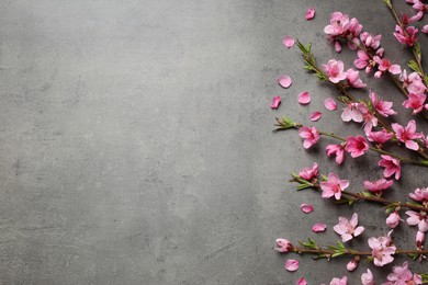 Photo of Beautiful sakura tree blossoms on grey background, flat lay. Space for text