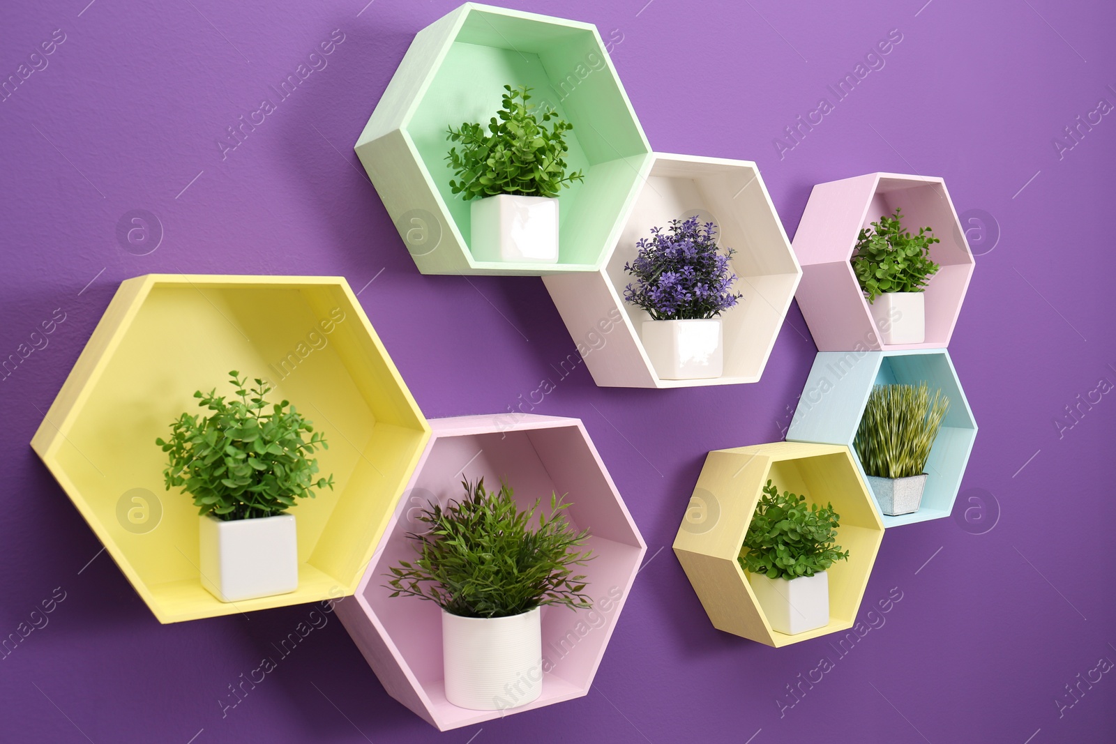 Photo of Hexagon shaped shelves with different potted plants on purple wall. Interior design