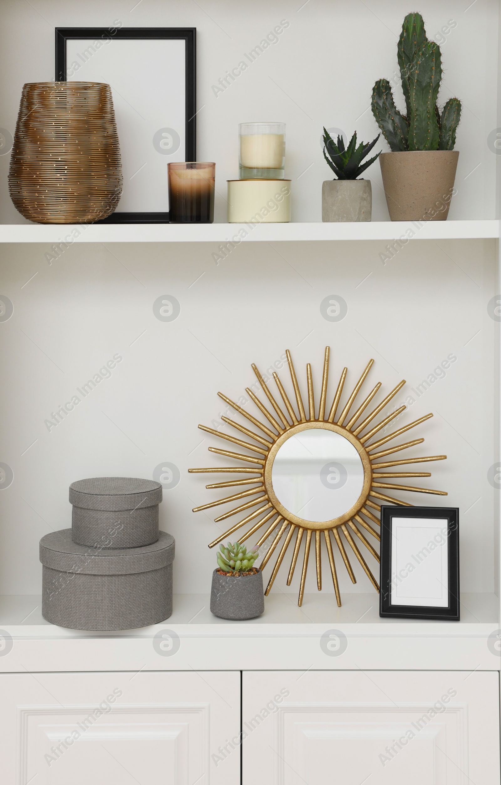 Photo of Beautiful houseplants and different decorative elements on shelving unit