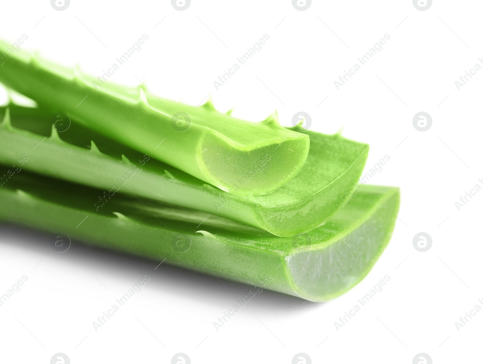 Photo of Fresh aloe vera leaves on white background