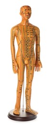 Photo of Acupuncture model. Male mannequin with dots and lines isolated on white