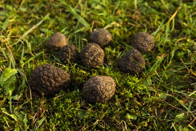 Photo of Fresh truffles on green grass, closeup view