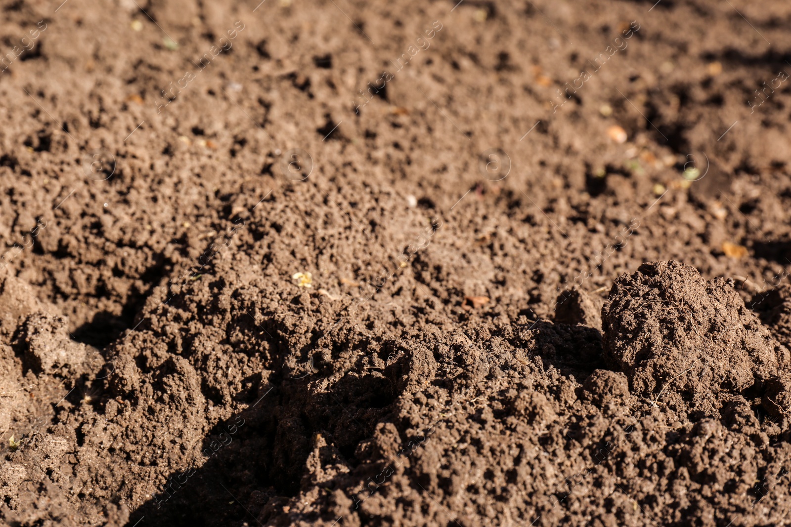 Photo of Textured ground surface as background, closeup. Fertile soil