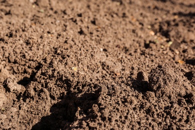 Textured ground surface as background, closeup. Fertile soil