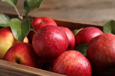 Ripe red apples with water drops and green leaves in crate, closeup