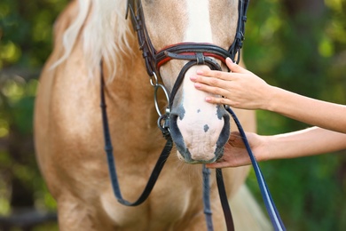 Photo of Palomino horse in bridle and young woman outdoors, closeup