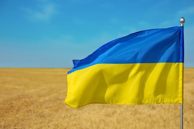 Photo of National flag of Ukraine in wheat field against blue sky, closeup