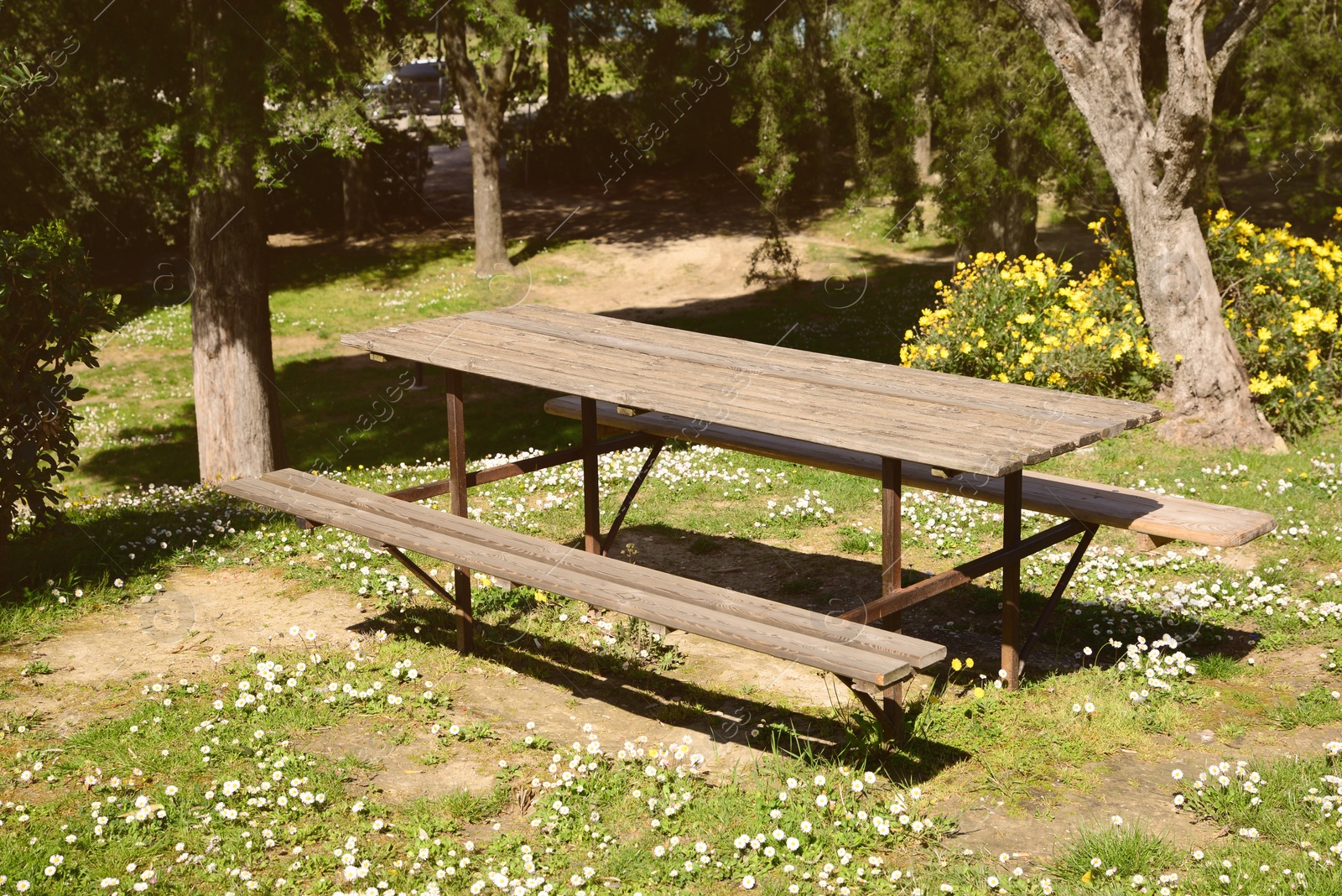 Photo of Empty wooden table with benches in park on sunny day