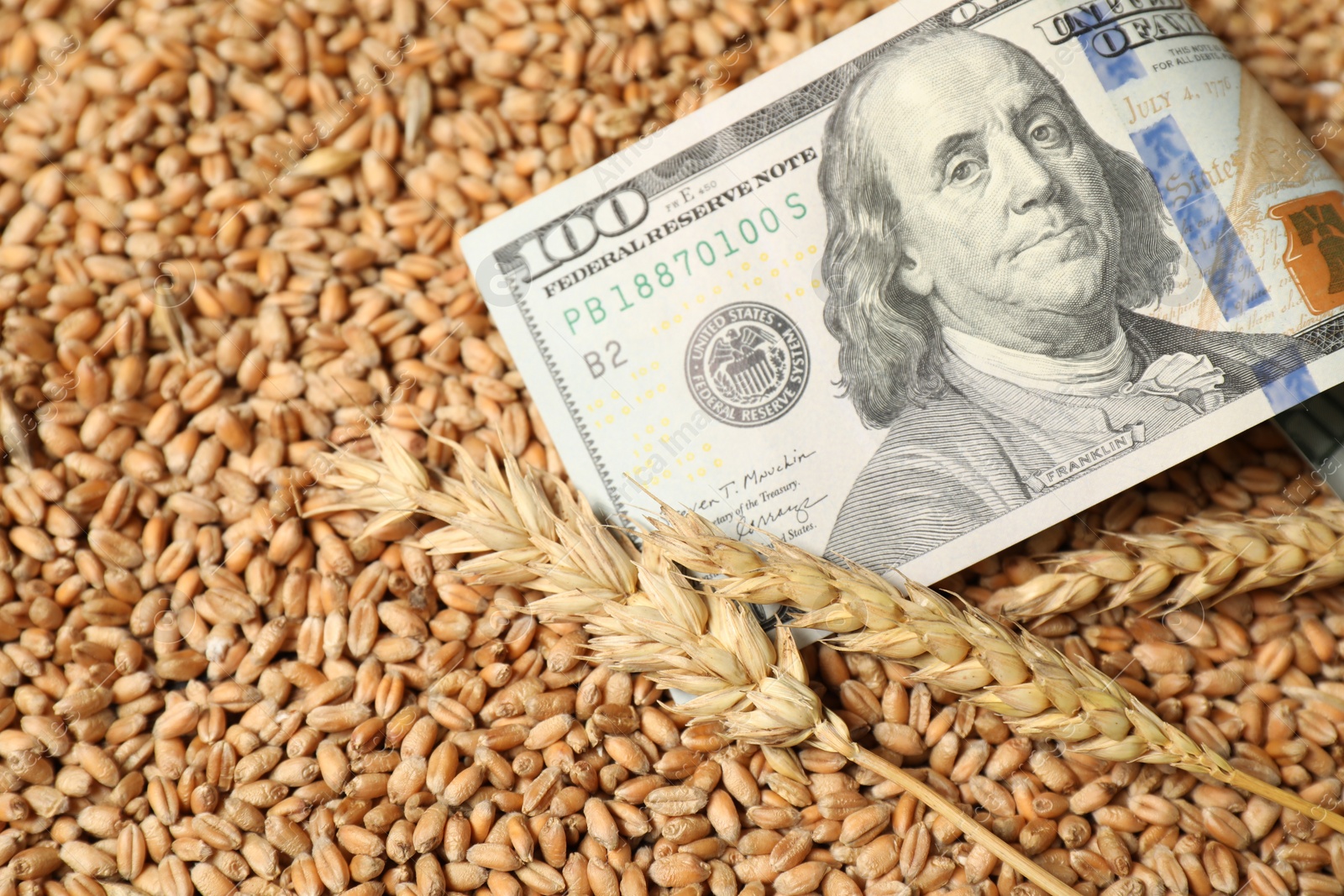 Photo of Dollar banknote and wheat ears on grains, closeup. Agricultural business