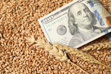 Dollar banknote and wheat ears on grains, closeup. Agricultural business