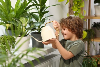 Cute little boy watering beautiful green plant on windowsill at home. House decor