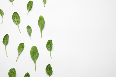 Fresh green healthy spinach on white background, top view