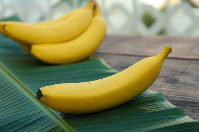 Delicious bananas and green leaf on wooden table, closeup