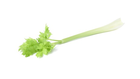 Photo of Fresh green celery stem isolated on white