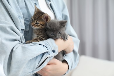 Photo of Woman with cute fluffy kittens indoors, closeup. Space for text