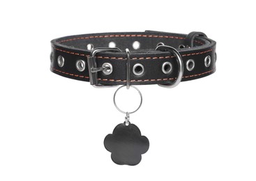 Black leather dog collar with tag isolated on white