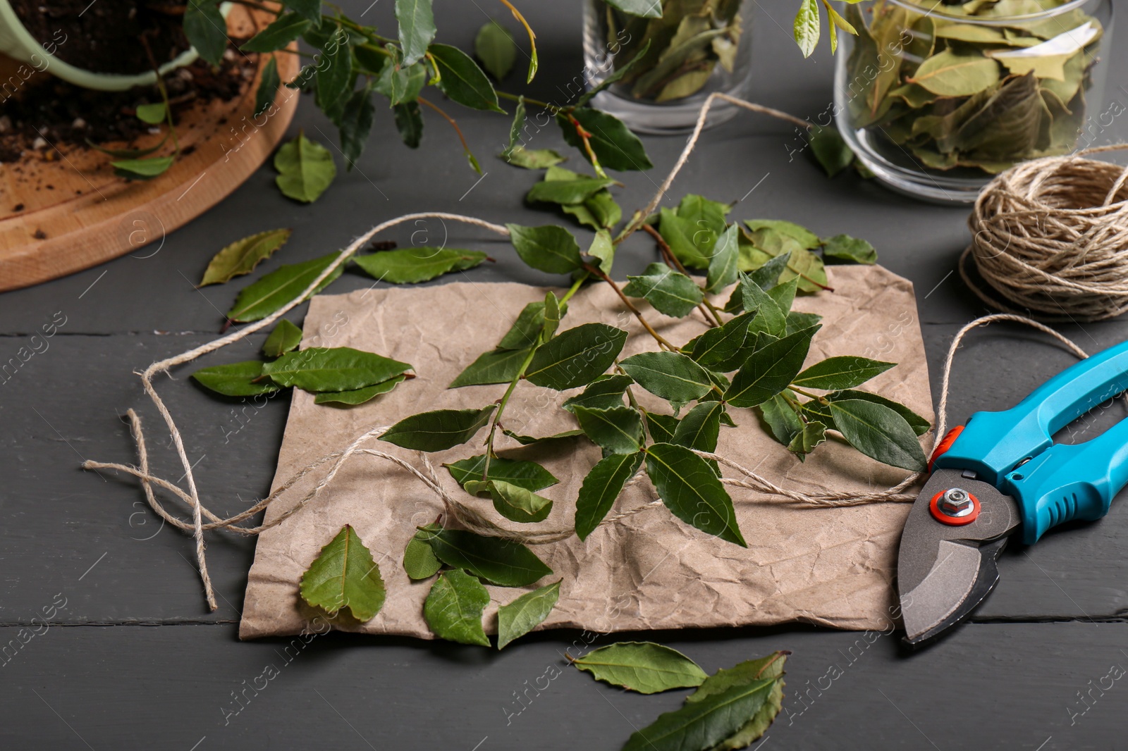 Photo of Fresh green bay leaves, secateurs and twine on grey wooden table