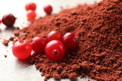 Photo of Pile of cranberry powder and fresh berries on light table, closeup