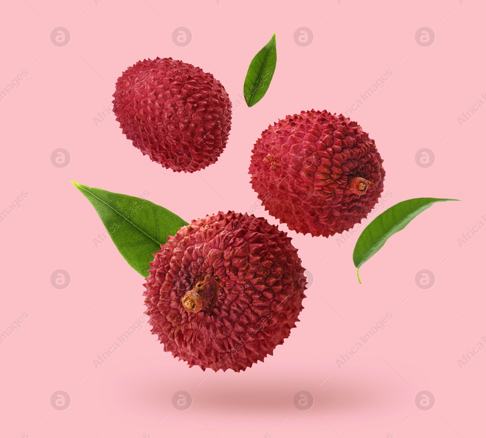 Image of Fresh lychees with green leaves falling on pink background