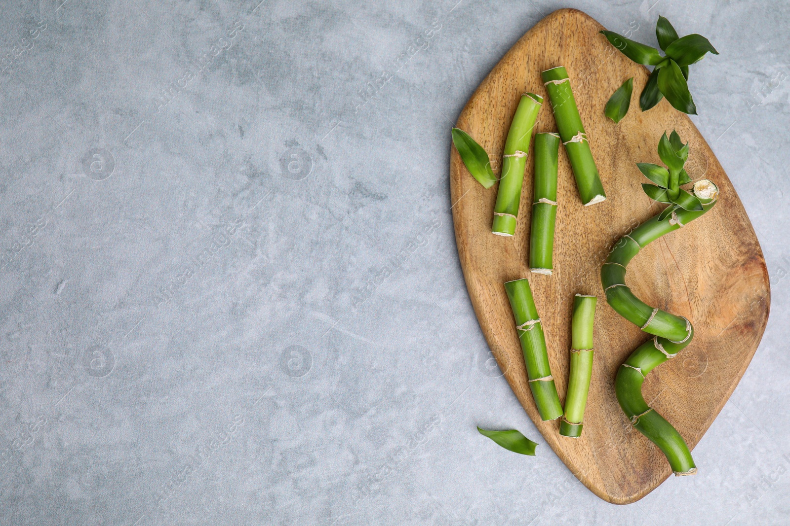 Photo of Pieces of beautiful green bamboo stems on light grey table, flat lay. Space for text