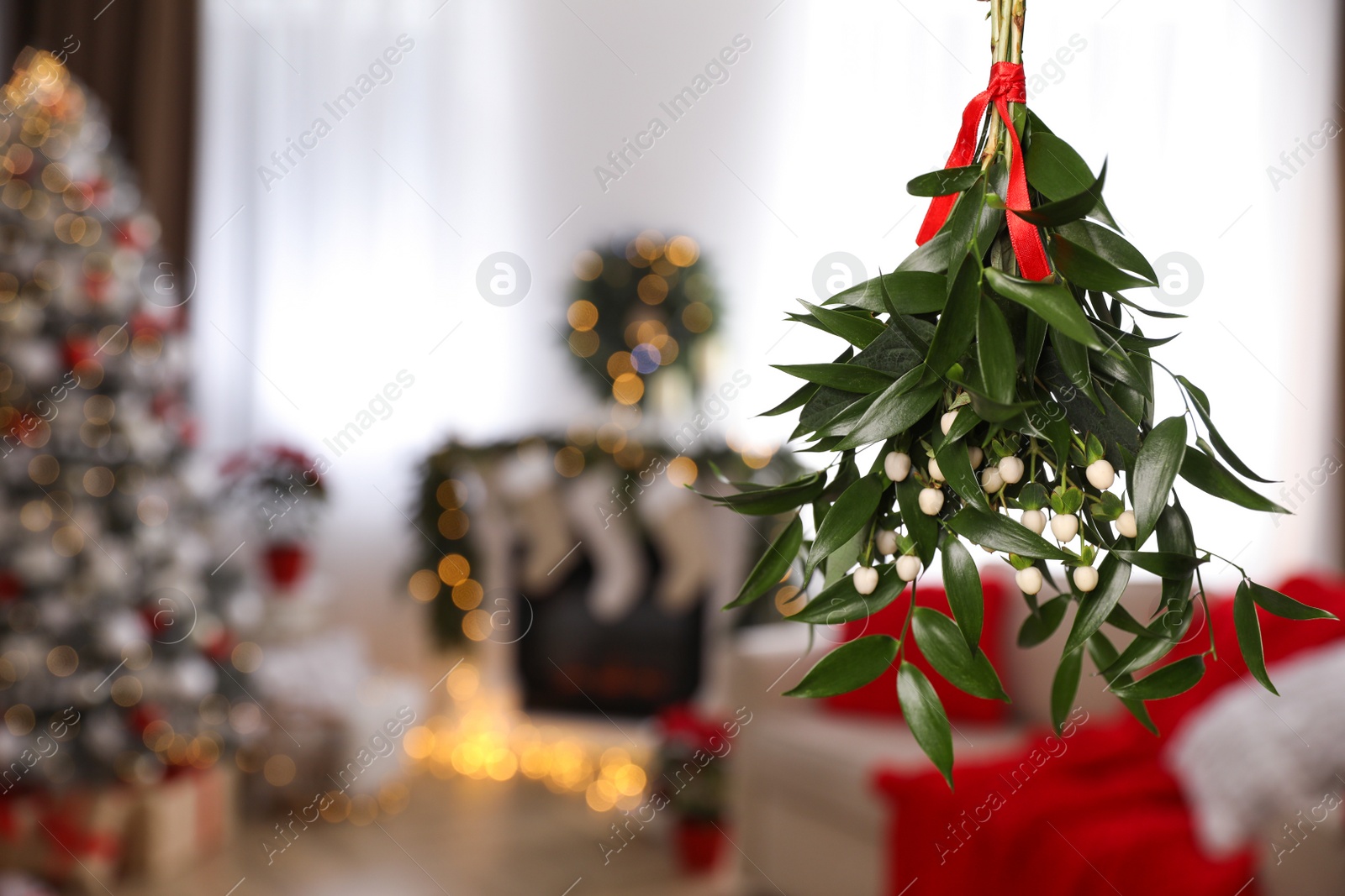 Photo of Mistletoe bunch with red ribbon hanging in room with Christmas tree, space for text