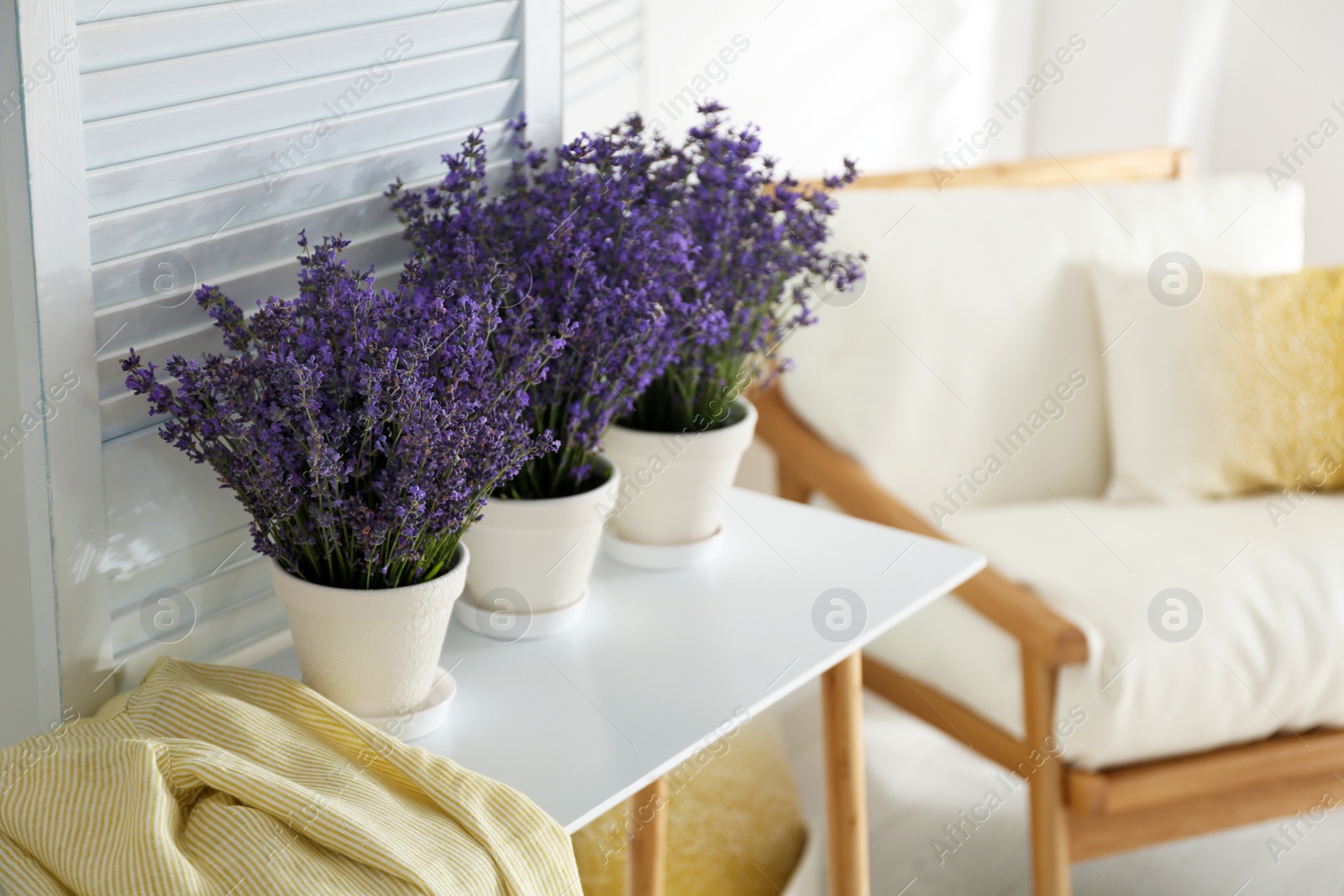 Photo of Beautiful lavender flowers and yellow shirt on white table indoors