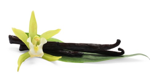 Photo of Vanilla pods, beautiful flower and green leaf isolated on white