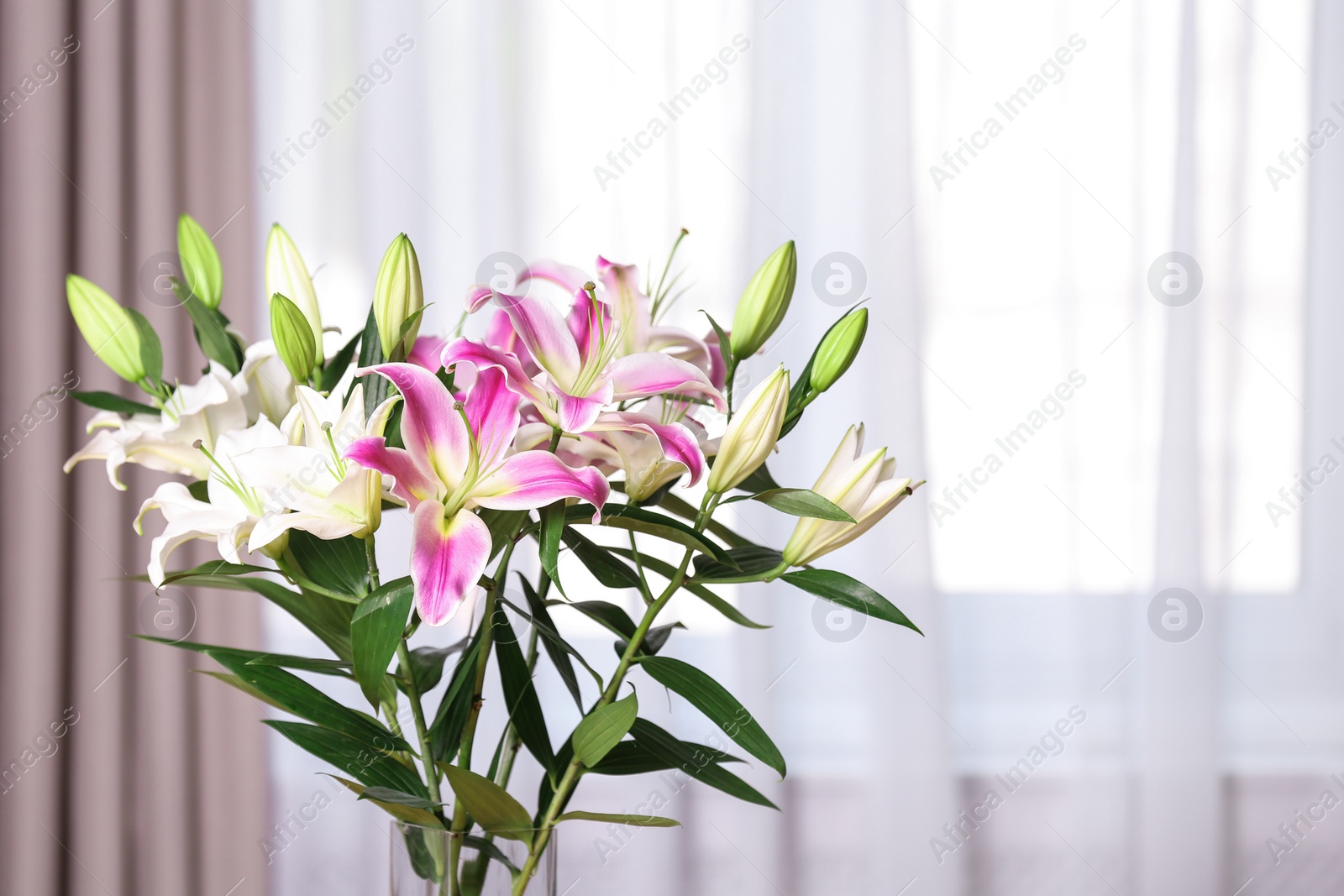 Photo of Vase with bouquet of beautiful lilies on blurred background. Space for text