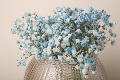 Beautiful gypsophila flowers in vase on beige background, closeup