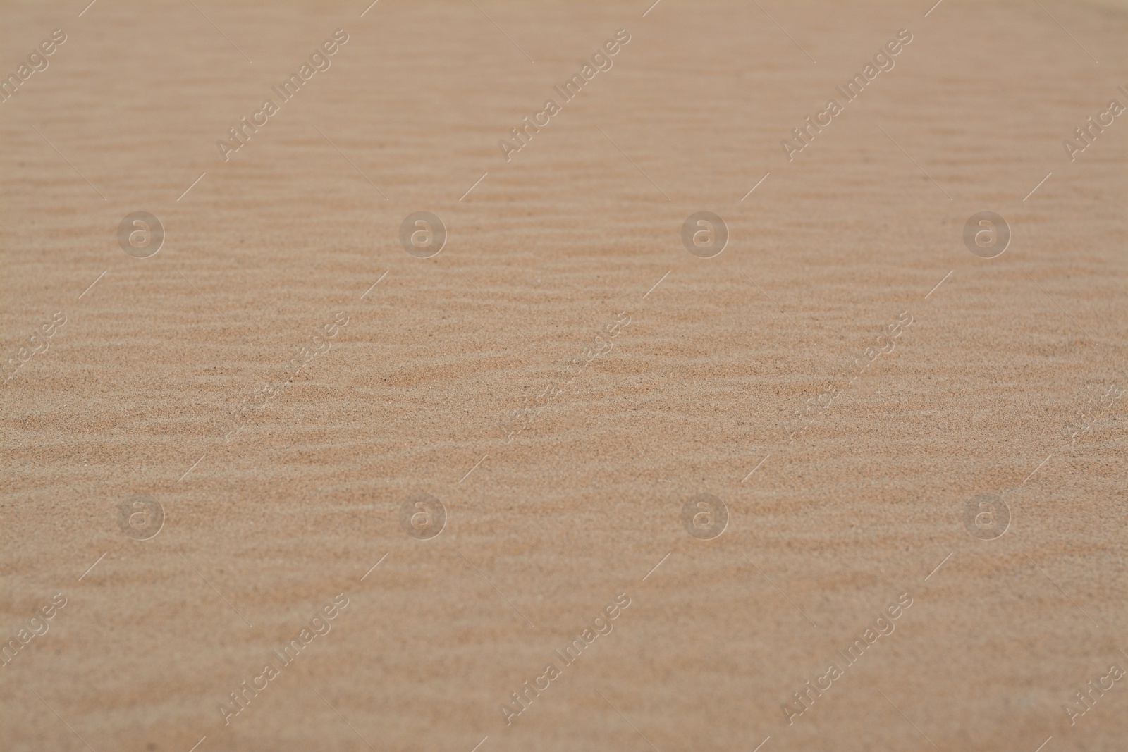 Photo of Closeup view of clean beach sand outdoors