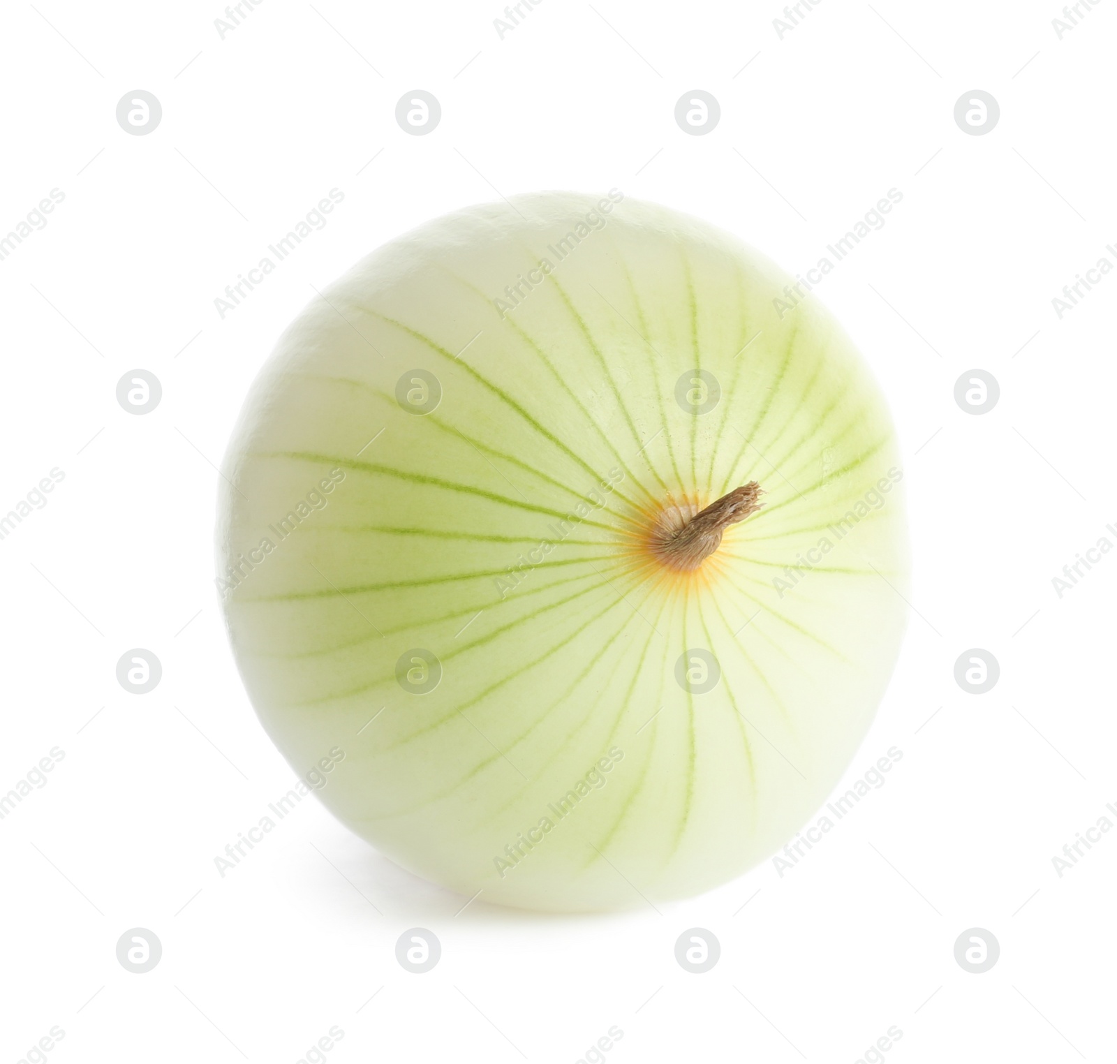 Photo of Fresh peeled onion bulb on white background