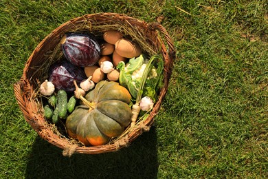 Photo of Different fresh ripe vegetables in wicker basket on grass, above view. Space for text