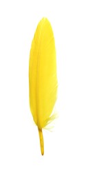 Photo of Fluffy beautiful yellow feather isolated on white