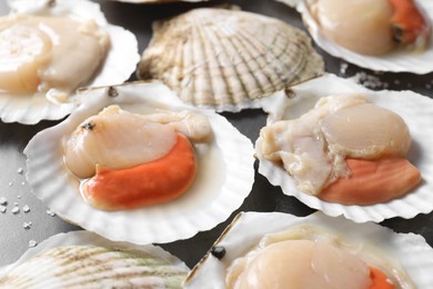 Photo of Fresh raw scallops on grey table, closeup