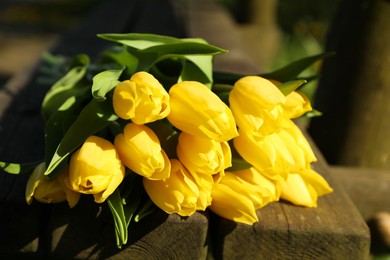 Bouquet of beautiful yellow tulips on wooden bench outdoors, closeup