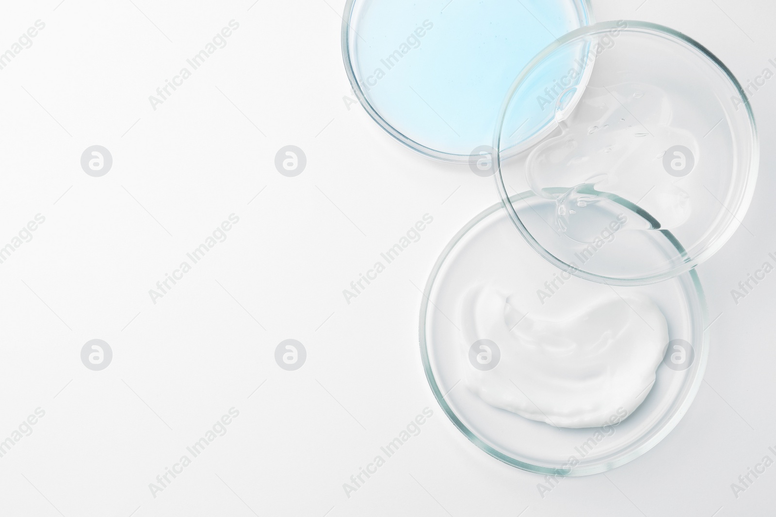 Photo of Many Petri dishes and cosmetic products on white background, top view