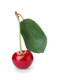 Photo of Sweet red juicy cherry with leaf isolated on white