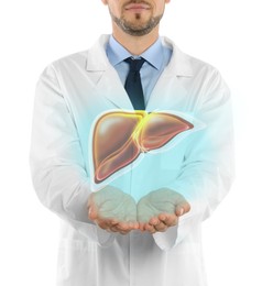 Doctor with stethoscope and illustration of healthy liver on light background, closeup