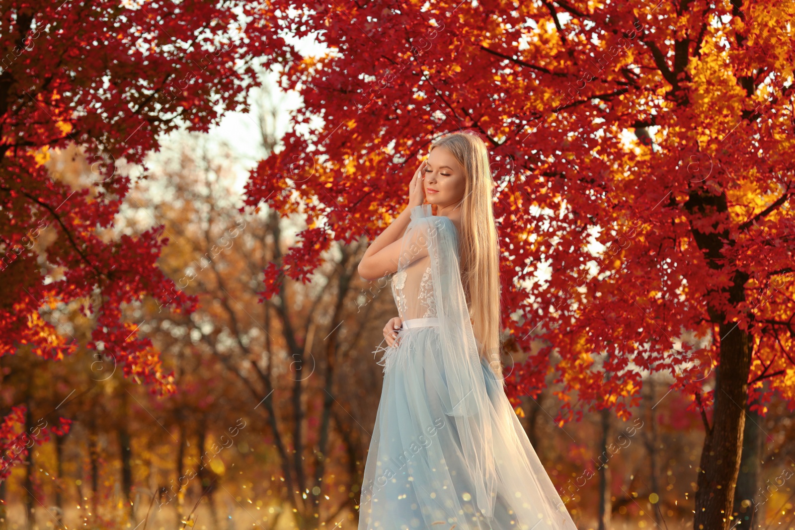 Photo of Beautiful girl wearing fairy dress in autumn forest