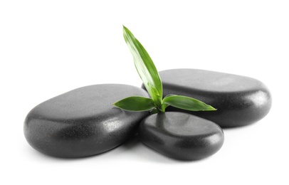 Black spa stones with bamboo isolated on white