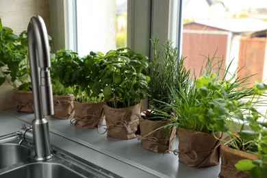 Different aromatic potted herbs on window sill near kitchen sink