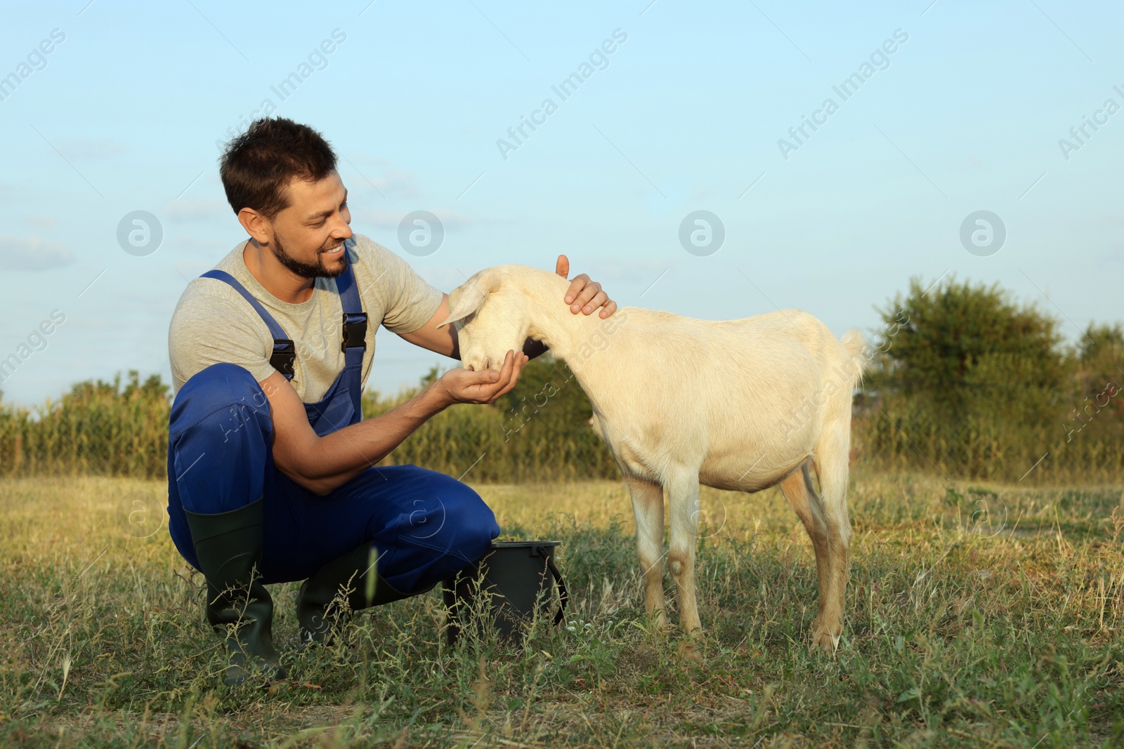 Photo of Man feeding goat at farm. Animal husbandry