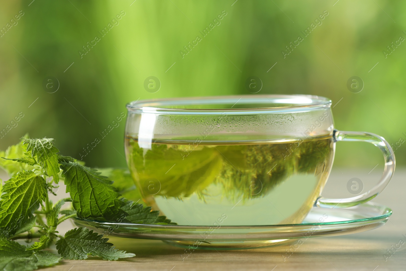 Photo of Glass cup of aromatic nettle tea and green leaves on table, closeup