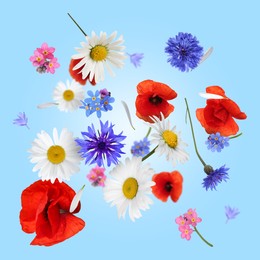 Beautiful meadow flowers falling on light blue background