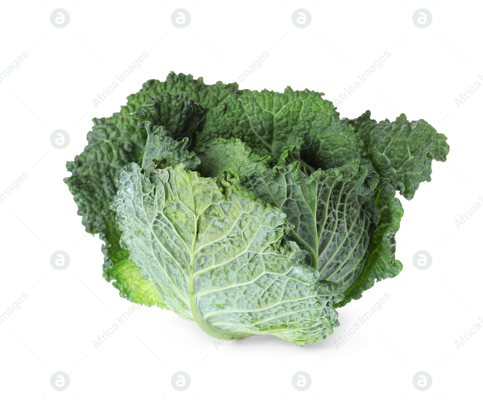 Photo of Fresh ripe savoy cabbage on white background